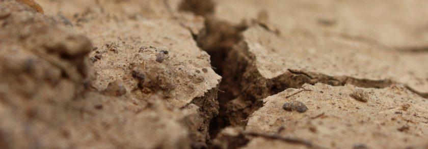 Terre desechée par manque d'eau