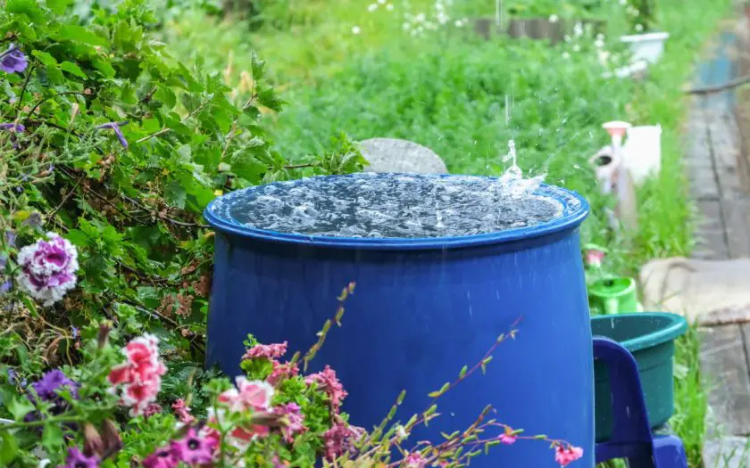 récupérateur d'eau de pluie