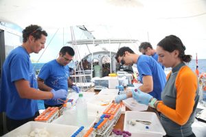 tara mission pacifique microbiomes